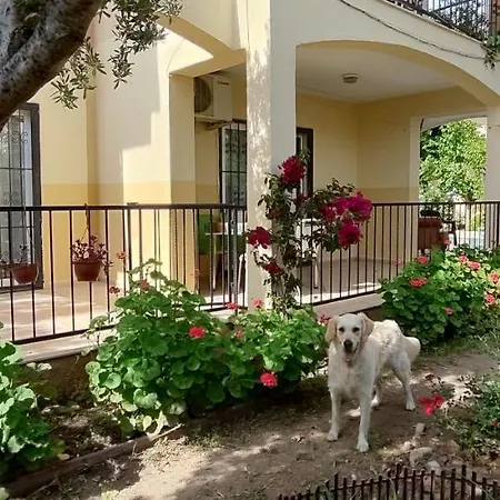 çileks Appart hôtel