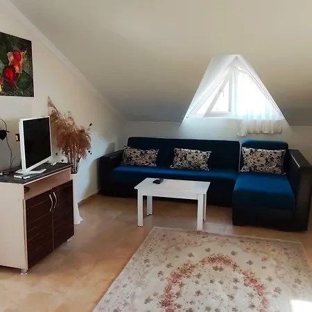 Ξενοδοχείο με διαμερίσματα Cileks Φετιγιέ