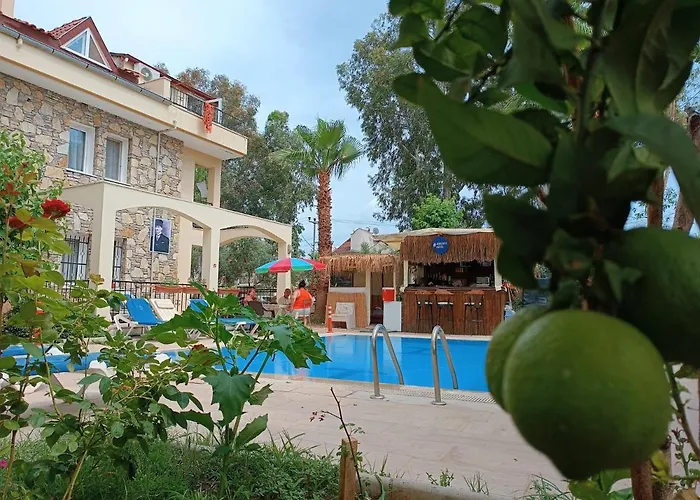 çileks 4*